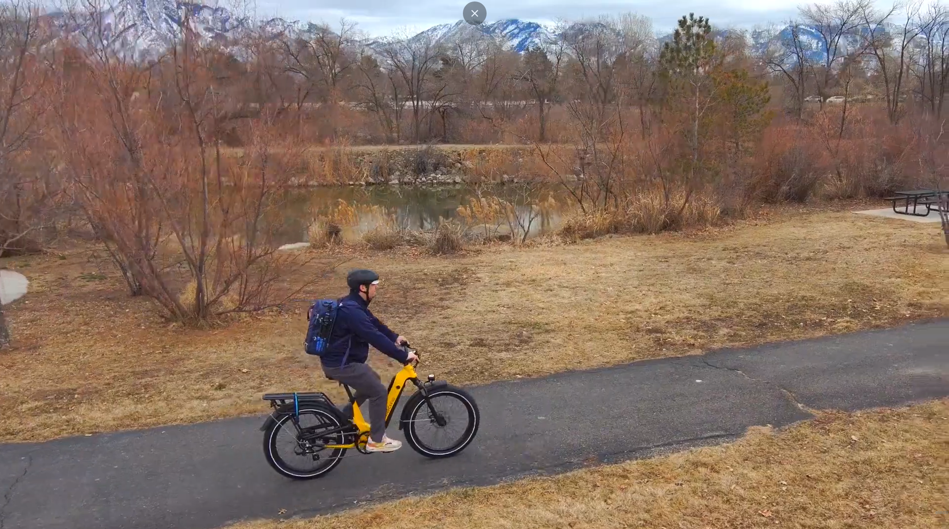 From Urban Jungle to Off-Road Adventure: The MagiCycles Deer Electric Bike Review