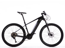 All Go Sport - Carbon Fiber Electric Bike