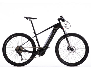 All Go Sport - Carbon Fiber Electric Bike