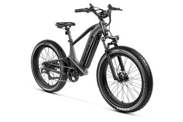 Deer Fat Tire Full Suspension Electric Bike