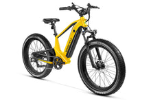 Deer Fat Tire Full Suspension Electric Bike