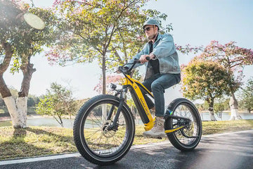 Deer Fat Tire Full Suspension Electric Bike