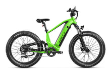 Deer Fat Tire Full Suspension Electric Bike