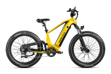 Deer Fat Tire Full Suspension Electric Bike