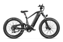 Deer Fat Tire Full Suspension Electric Bike